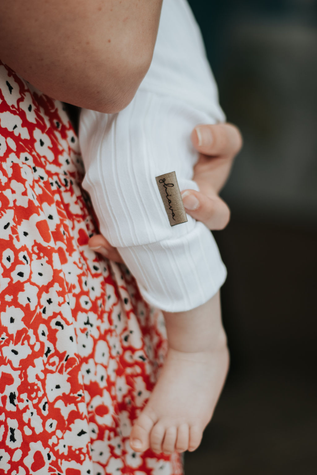 The Everyday Set - Image 5